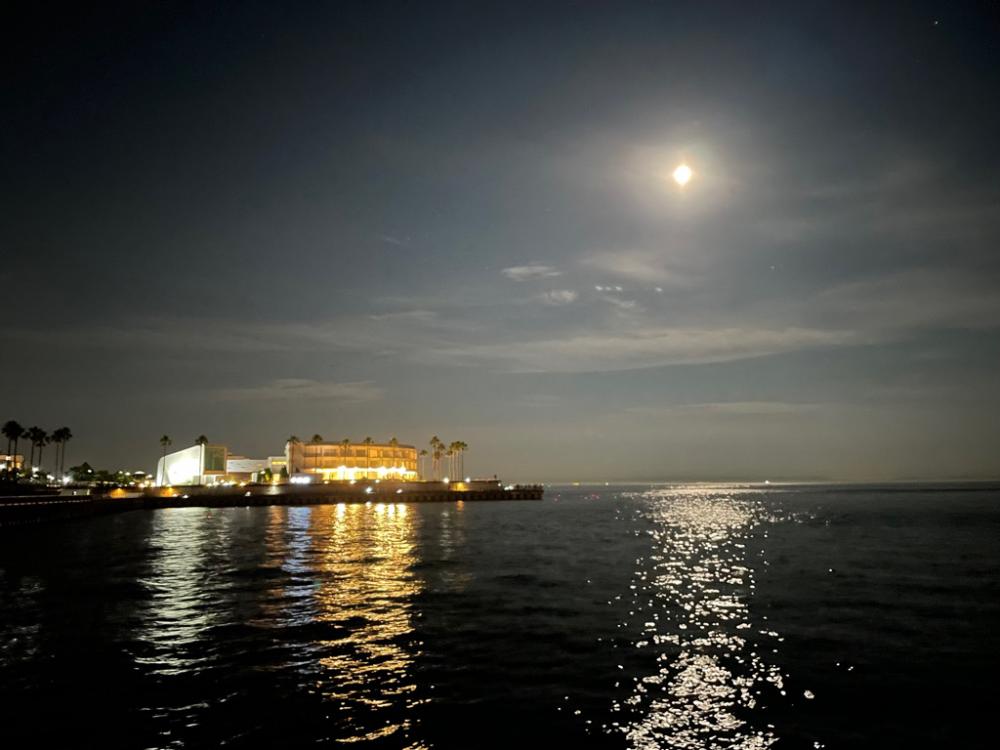 最近ハマってます