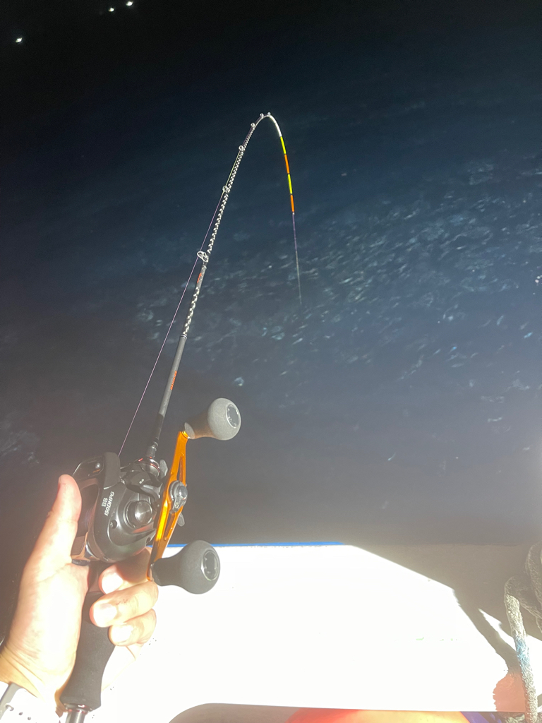 イカメタル&オモリグ