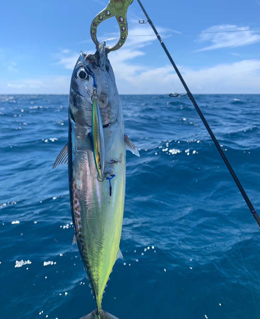 カヤックフィッシング