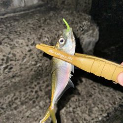 岬町フロートゲーム