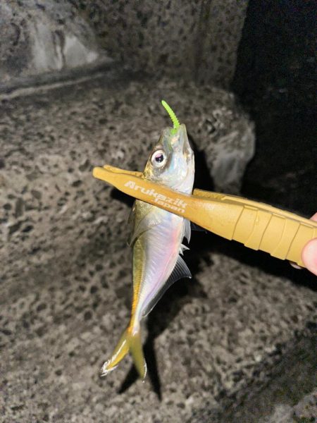 岬町フロートゲーム