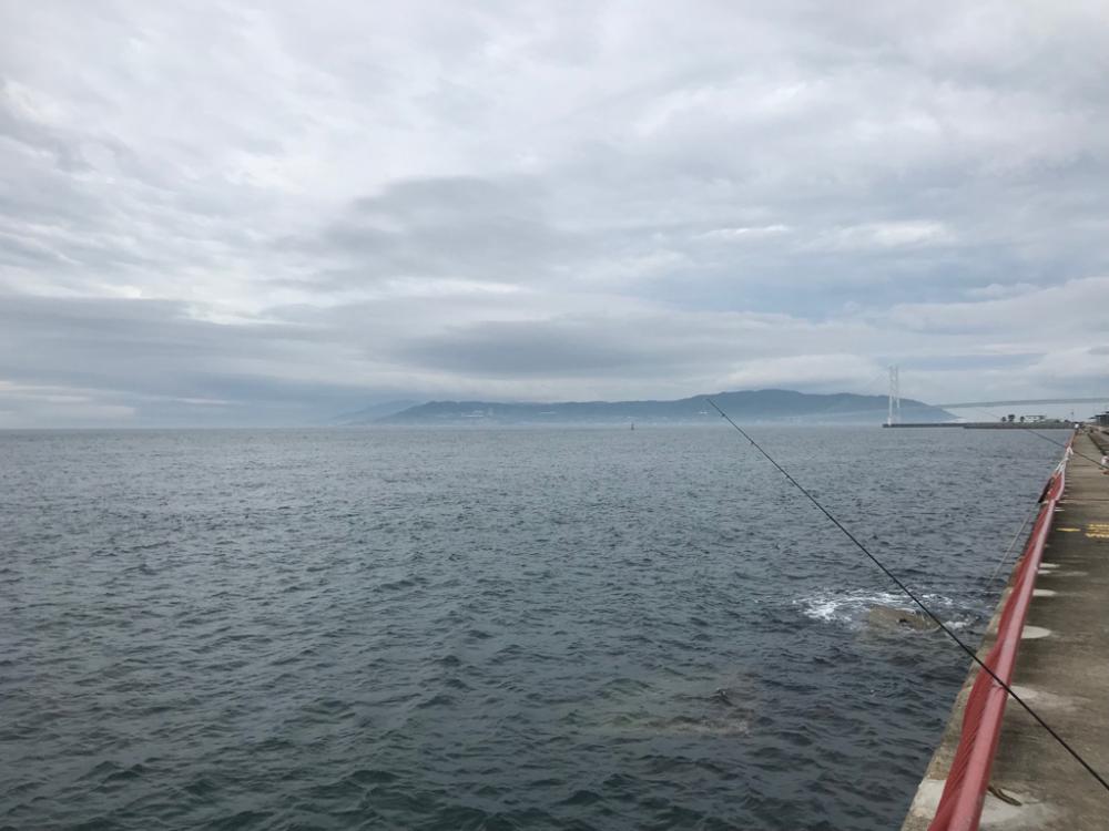 潮が速いので…