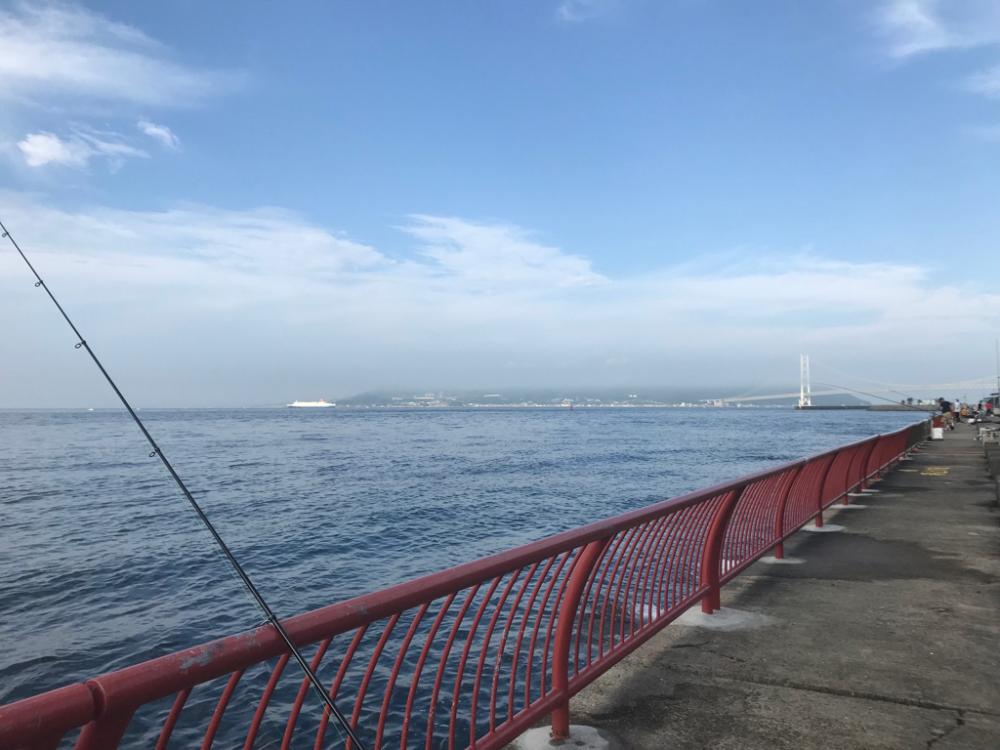 今日も平磯で…