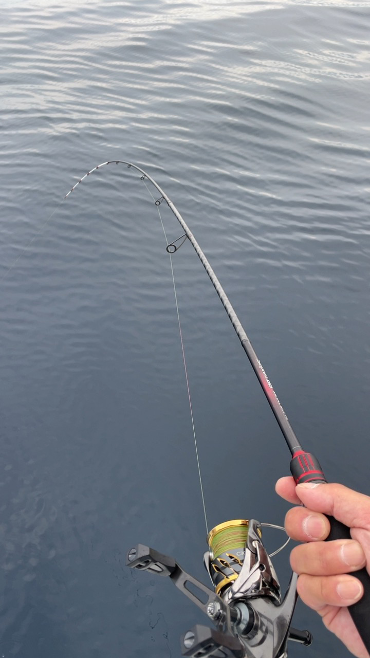 初めての船イカ釣り