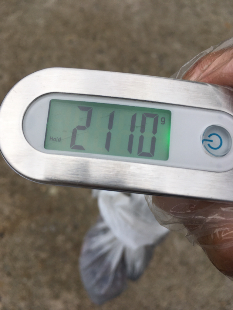 【タコフィネス】 キロアップ2+アコウ