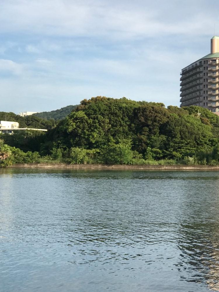 南紀の堤防でのんびり