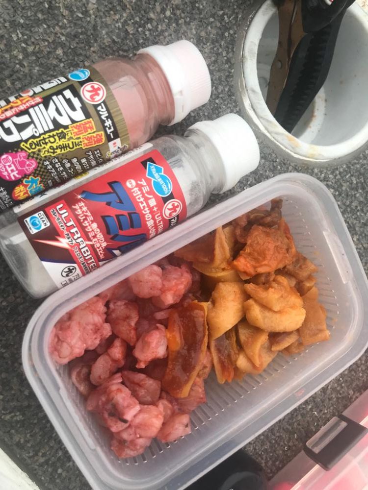 室津のフグとタコ