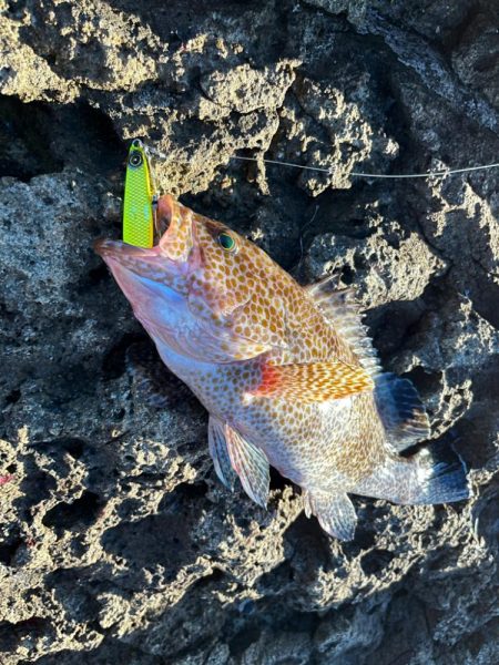 ジャックアイマキマキ無双