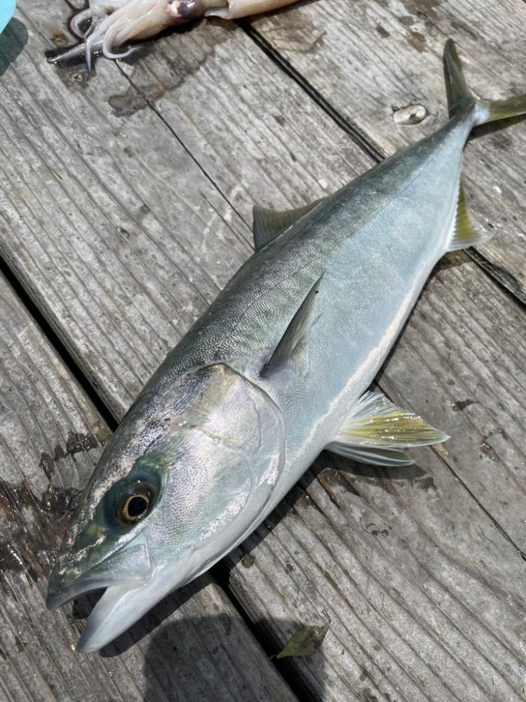 釣堀　水宝さんにて
