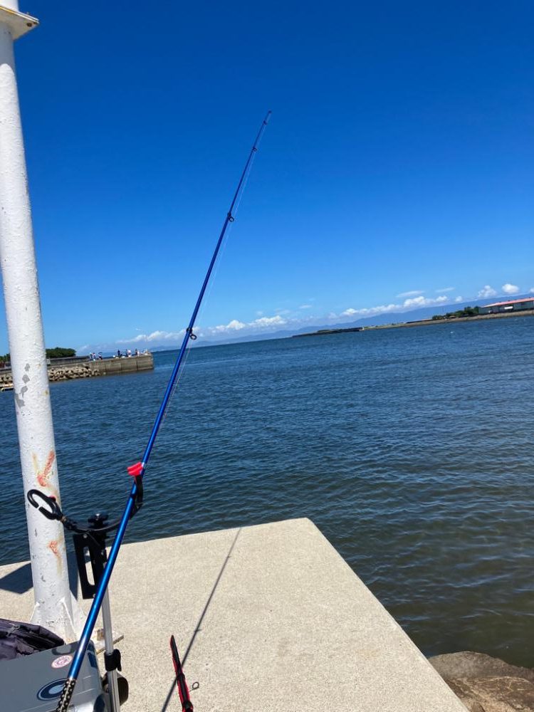 ちょい投げキス釣り