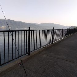 ちょい投げシロギス