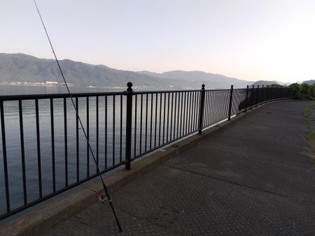 ちょい投げシロギス