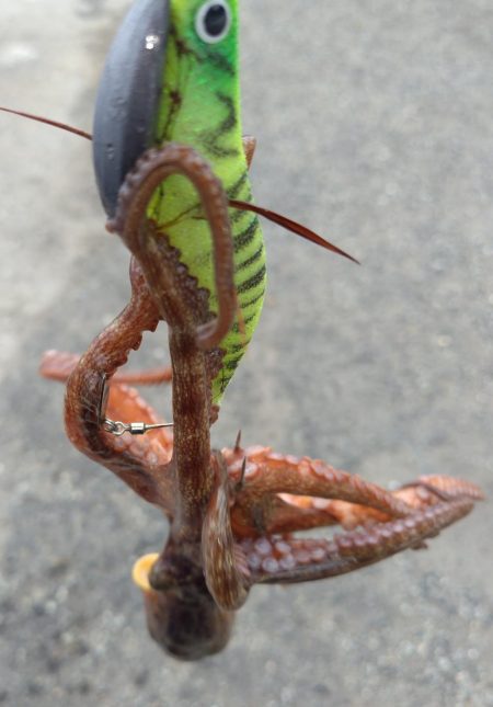 オクトパッシング