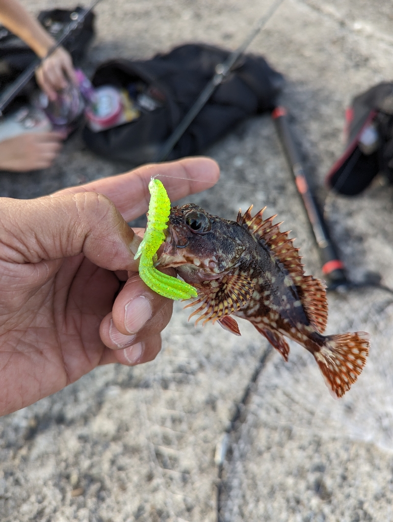 陸っぱり釣行記