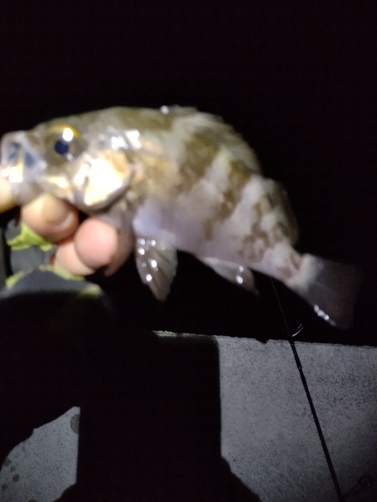 まだ、いける。