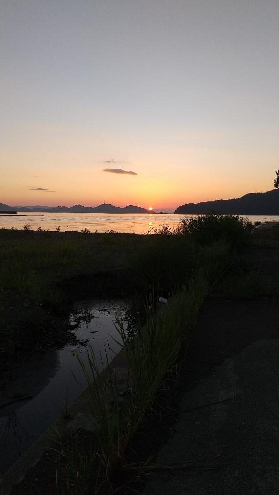 ハゼ釣り～暑い‼️