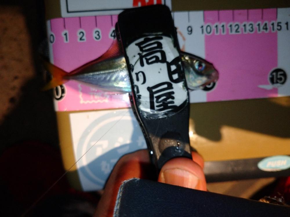 豆アジリベンジ