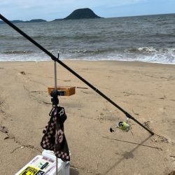 豪雨後の状況を確認したくて投げに行ってきました