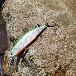 ベッピンはゲットしたが、、、