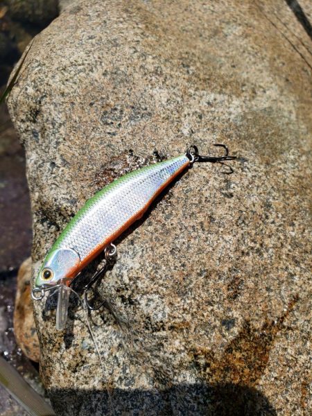 ベッピンはゲットしたが、、、