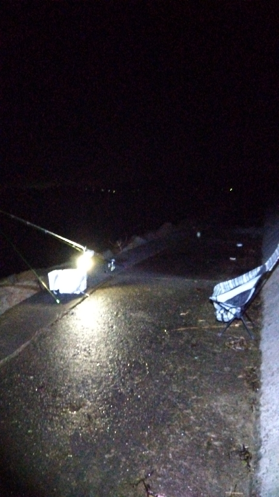 苅屋海岸のキス釣り
