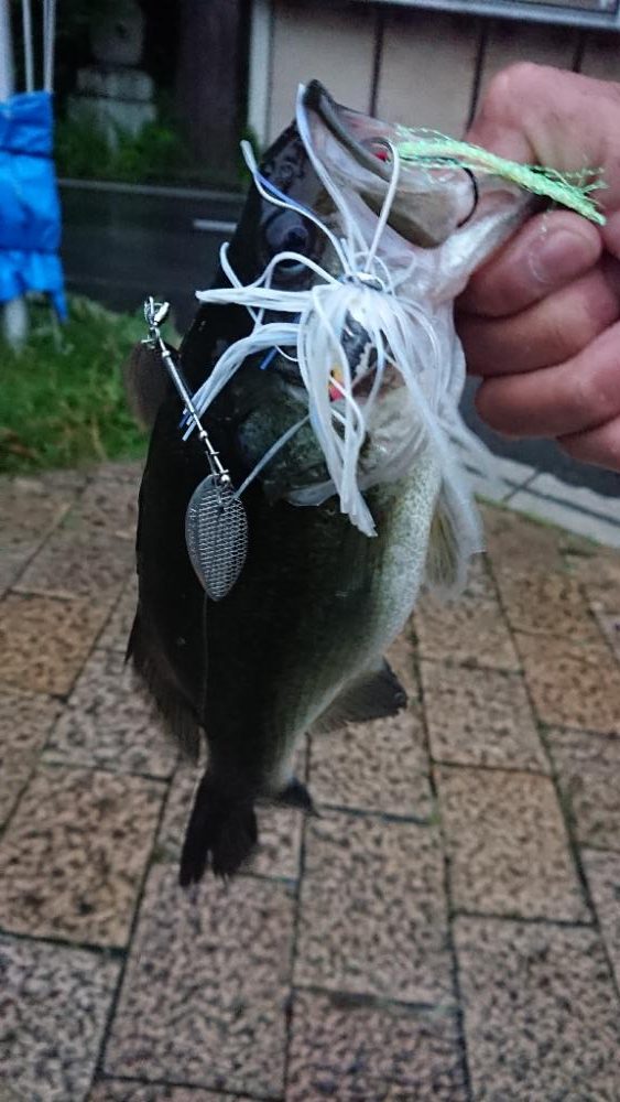 放流翌日の爆風