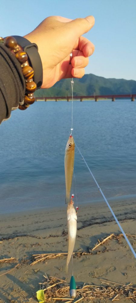 由良川河口でキス釣り