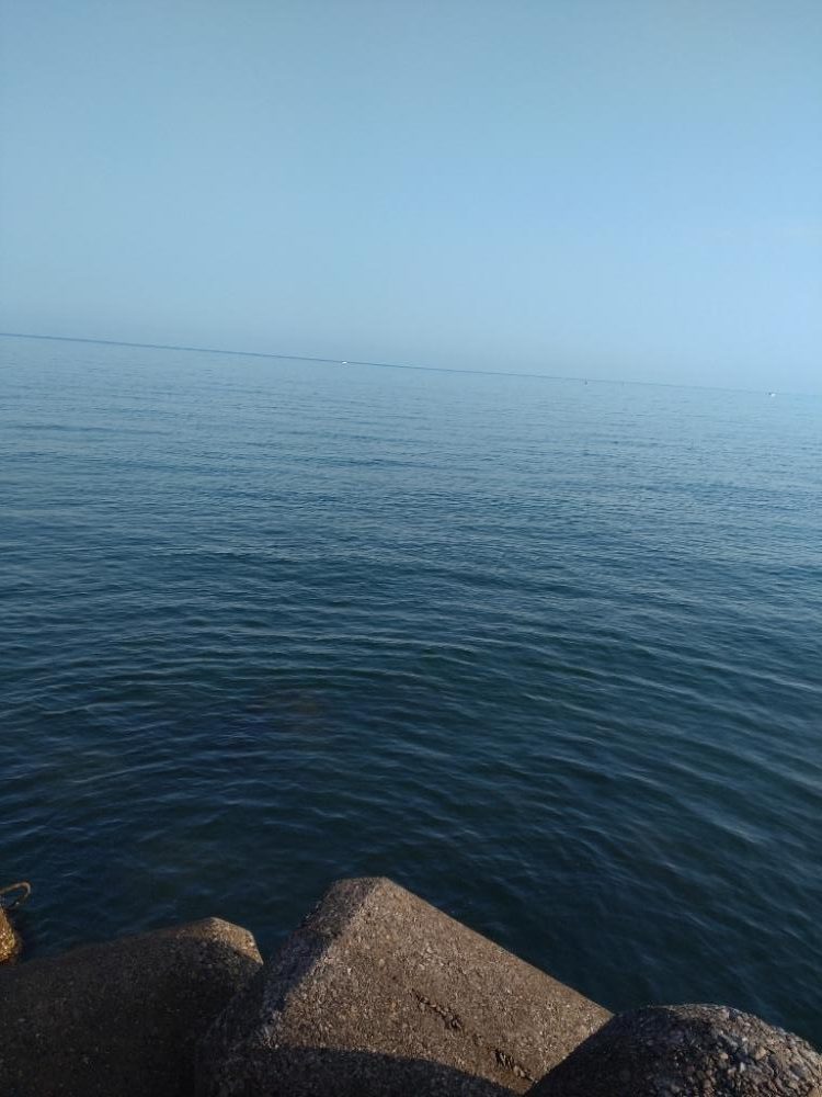 投げ釣りでキス