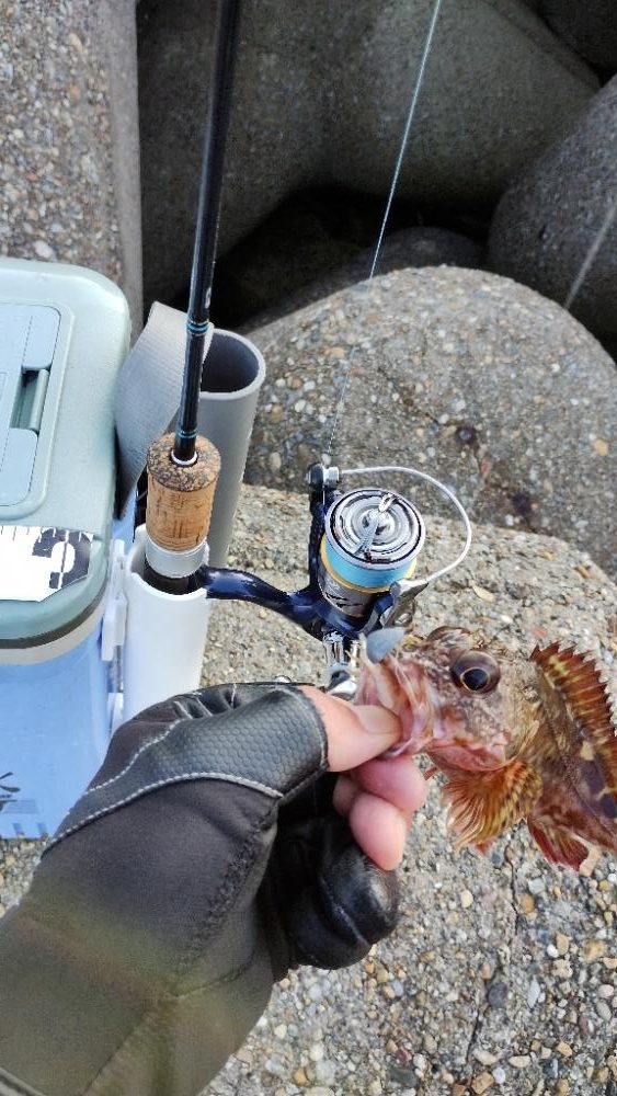 ハマりました♪