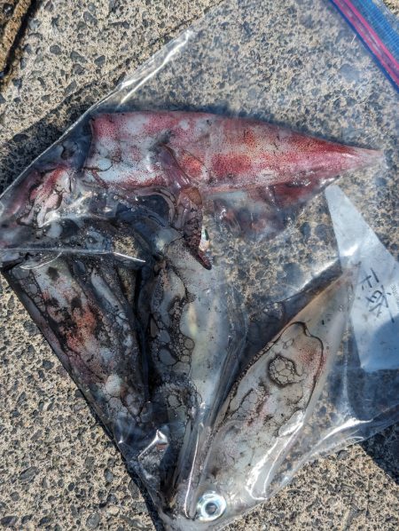 爆らない爆れないが好き