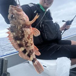 レンタルボートで根魚