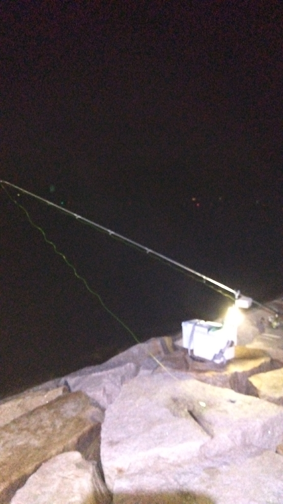 室津のキス釣り