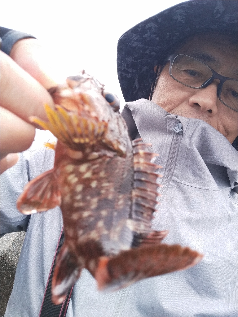 久しぶりに小浜でライトゲーム