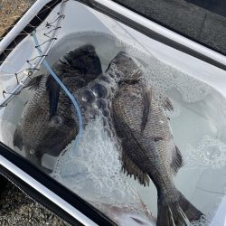 岩屋でフカセ釣り