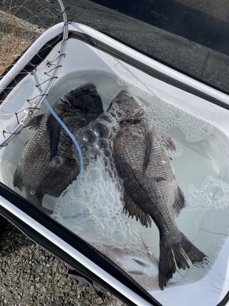 岩屋でフカセ釣り