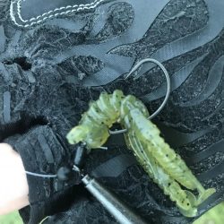 早朝デイチニング