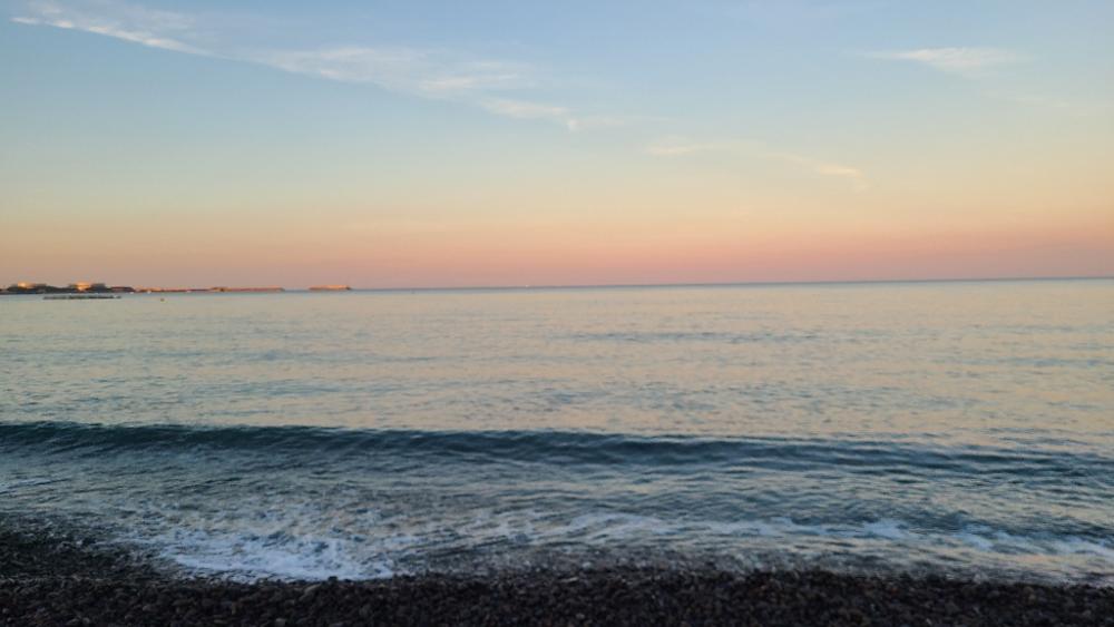 久しぶりの青物