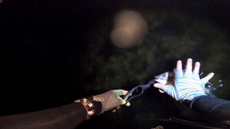 【チヌ】フリリグでチニング