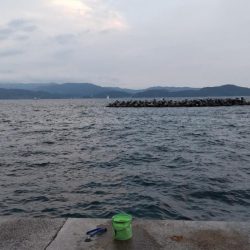 夕まづめのカマス