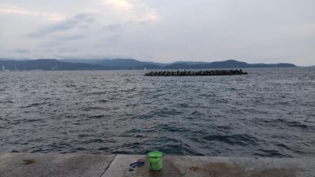 夕まづめのカマス