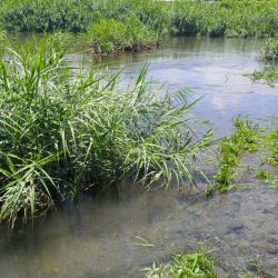 初めてのケタバス釣行