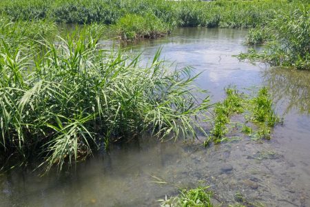初めてのケタバス釣行