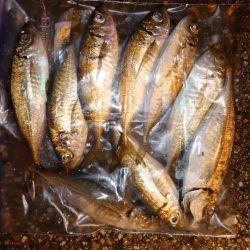 口閉じませんでした。