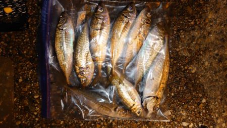 口閉じませんでした。