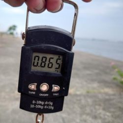 時合の一瞬だけ