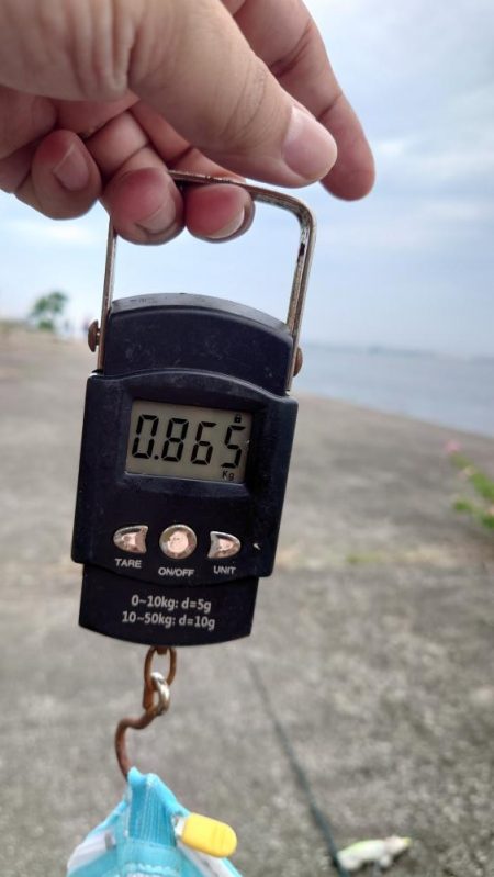 時合の一瞬だけ