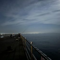 アジュール舞子アナゴ狙いバケモノサイズのガシラが釣れる!?