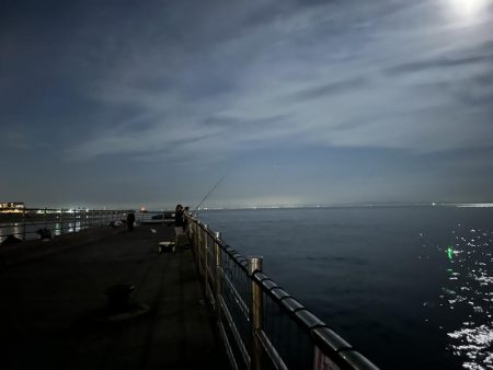 アジュール舞子アナゴ狙いバケモノサイズのガシラが釣れる!?