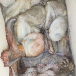 2番船でタコ釣り