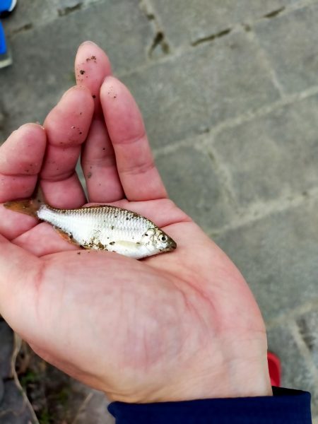 今年は、いまいち?